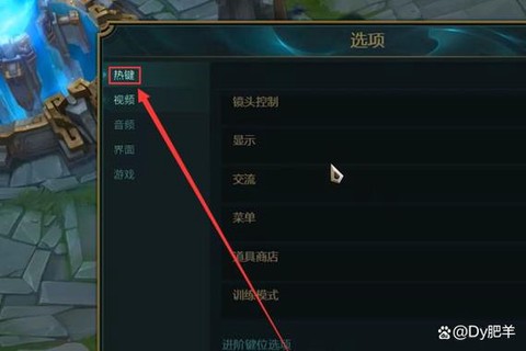 英雄联盟fps怎么调出来[图2]