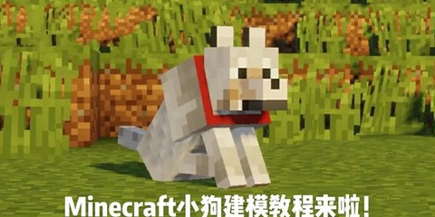 我的世界小狗怎么做[图2]