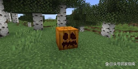 我的世界怎么雕刻南瓜[图2]